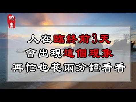 出殯下雨|【出殯下雨好嗎】出殯下雨，是好兆頭還是壞兆頭？，讓你不再疑。